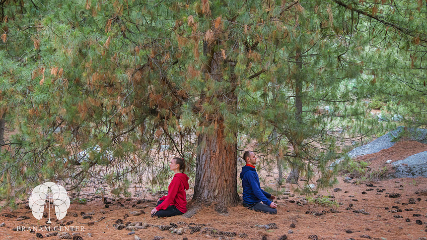 pranayama under a tree photo