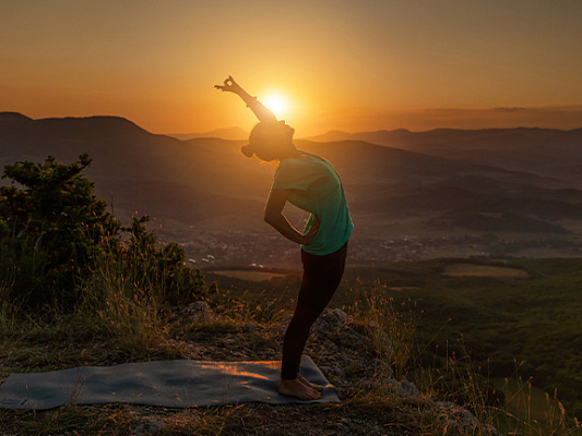 Pitta Dosha Explained ᗓ Characteristics, Imbalance & Harmony