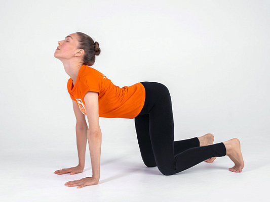 Marjaryasana (Cat-Cow Pose): Full Guide & Health Benefits