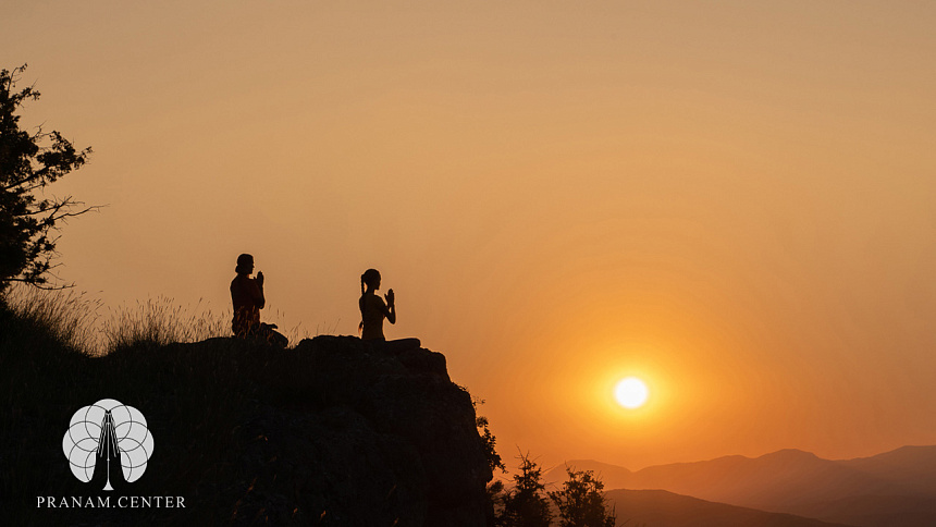 Every living thing, even the smallest, is subtly synchronized with the rhythms of nature.