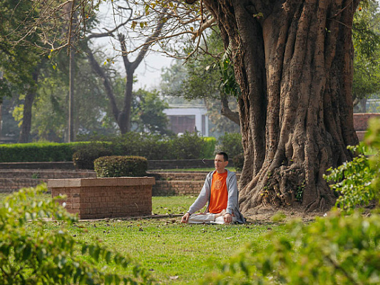 Mula-bandha (root lock): Benefits, Techniques, Practice