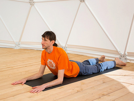 Why should you do yoga: six good reasons to start right now