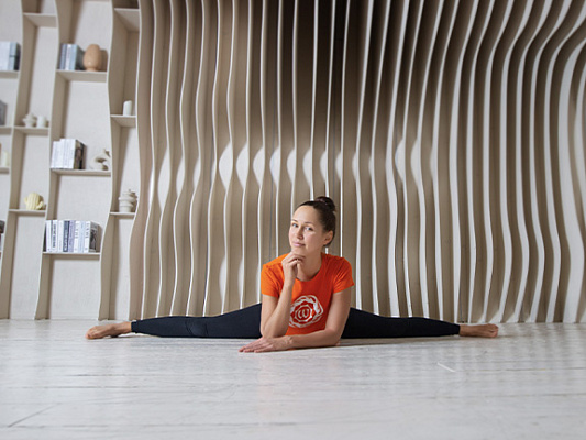 What style of yoga to choose for a beginner