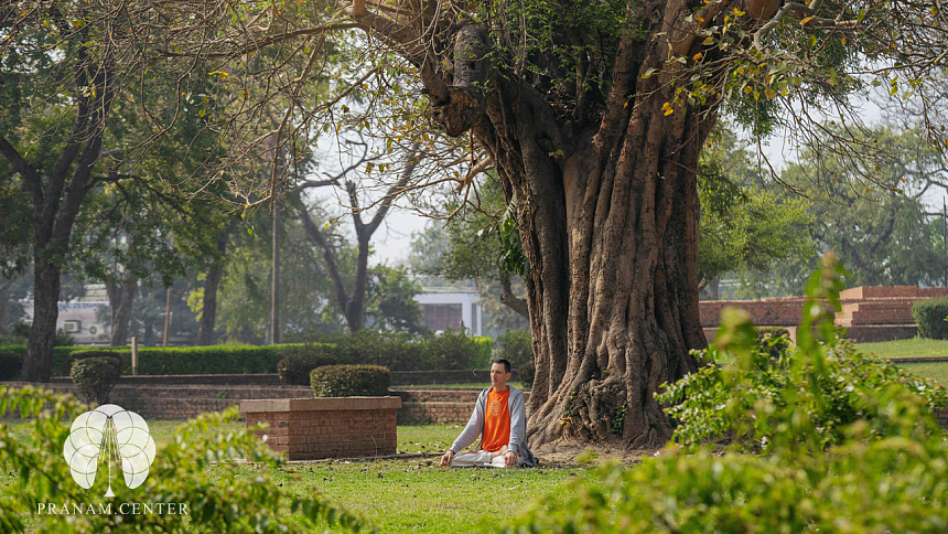 meditation under a tree photo