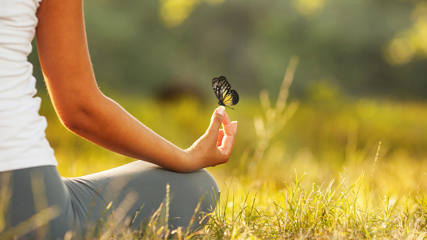 butterfly on the hand photo
